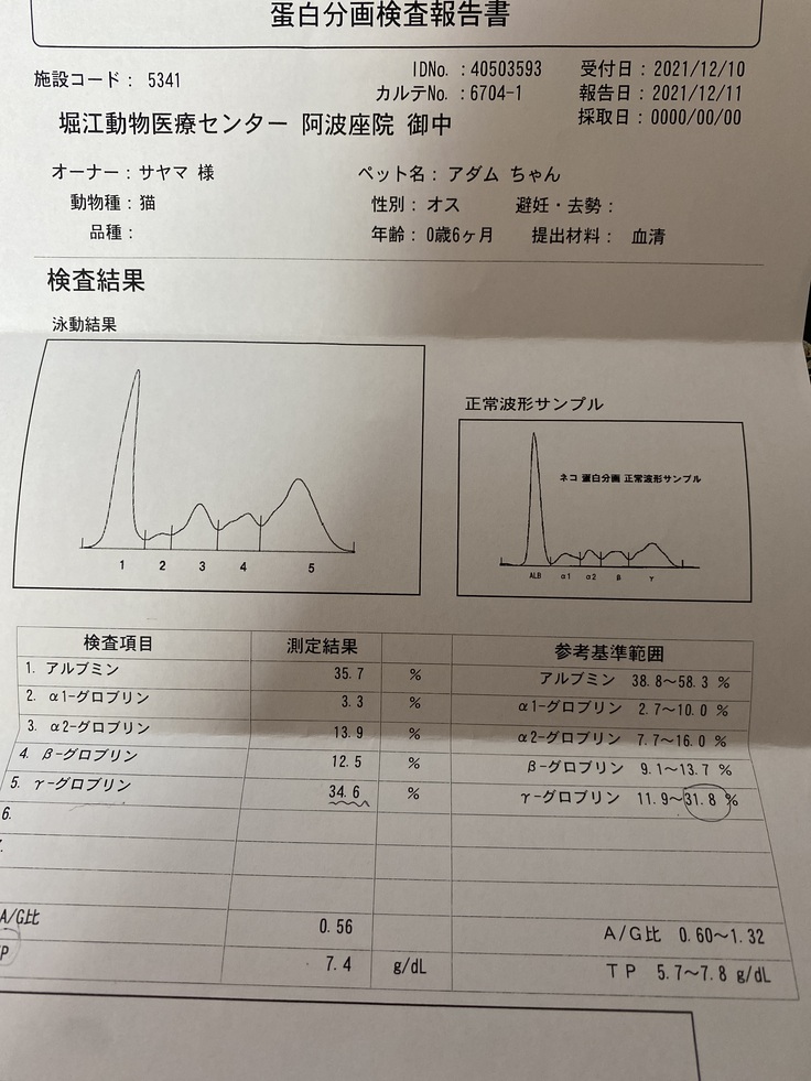 1回目の検査結果