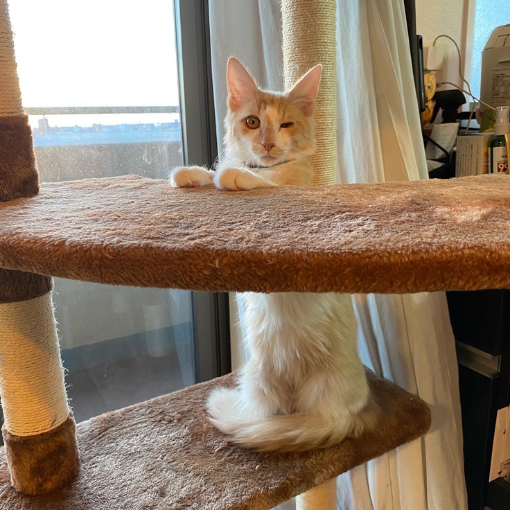 遊びまわるまでになりました