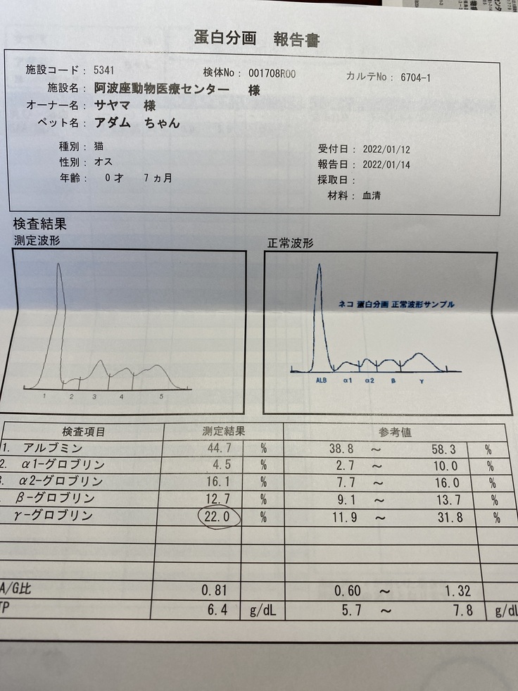 2回目の検査結果