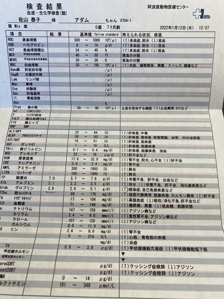2回目の検査結果