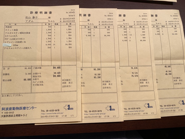 投薬を開始してから11月にかかった明細書