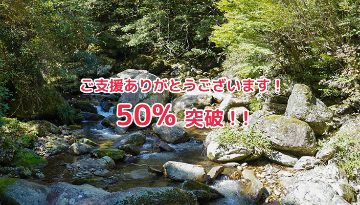 感謝!目標金額の30%達成!!
