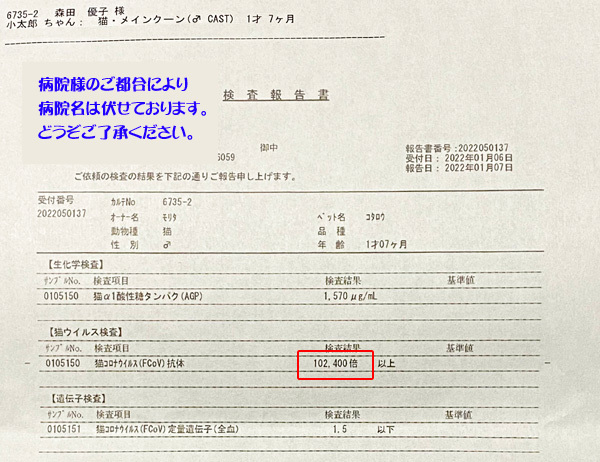 1月11日検査結果1