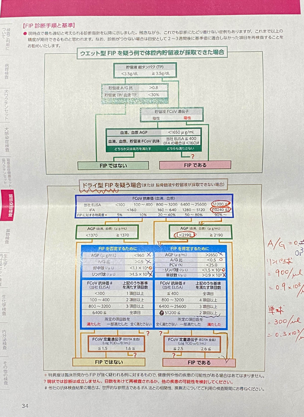 1月11日検査結果2