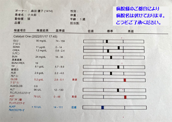1月17日の検査結果