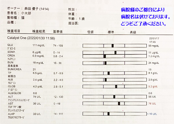 1月30日の検査結果