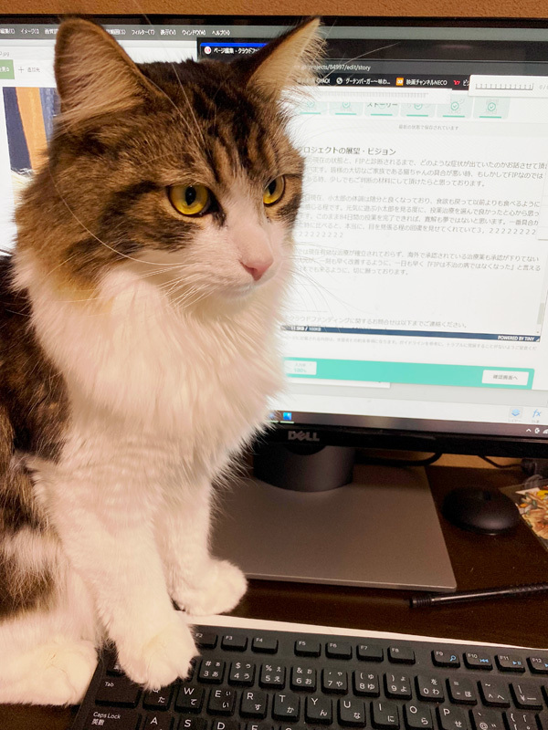 1月30日の小太郎