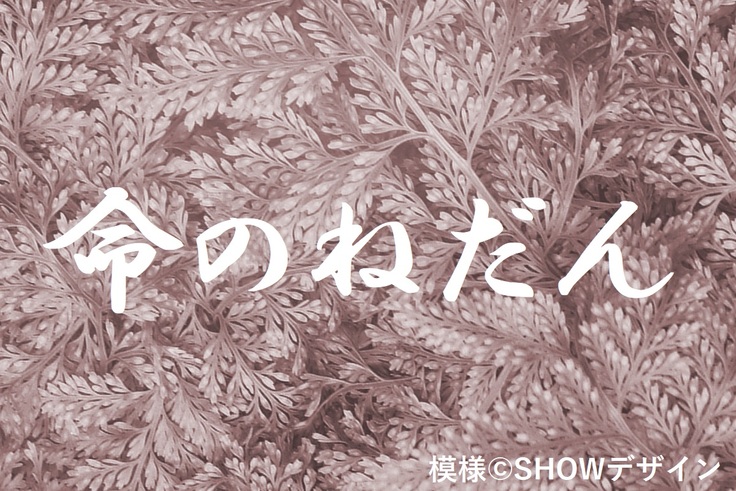 本のカバーの地模様