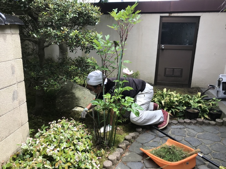 高齢者宅の庭の除草