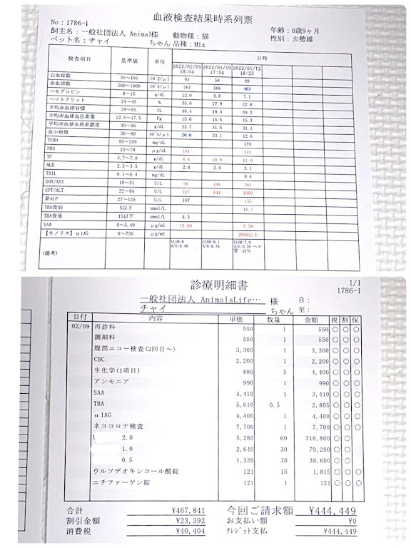 診察結果