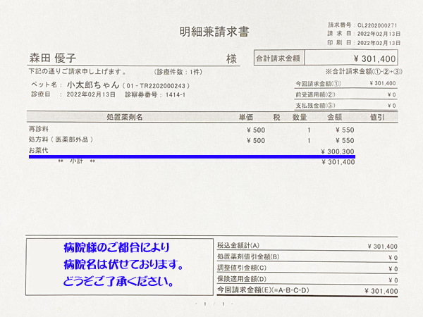 2月13日診療明細
