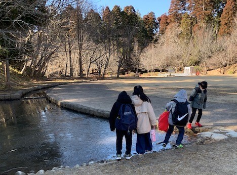 池には氷がはってました。