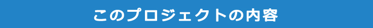 プロジェクトの内容