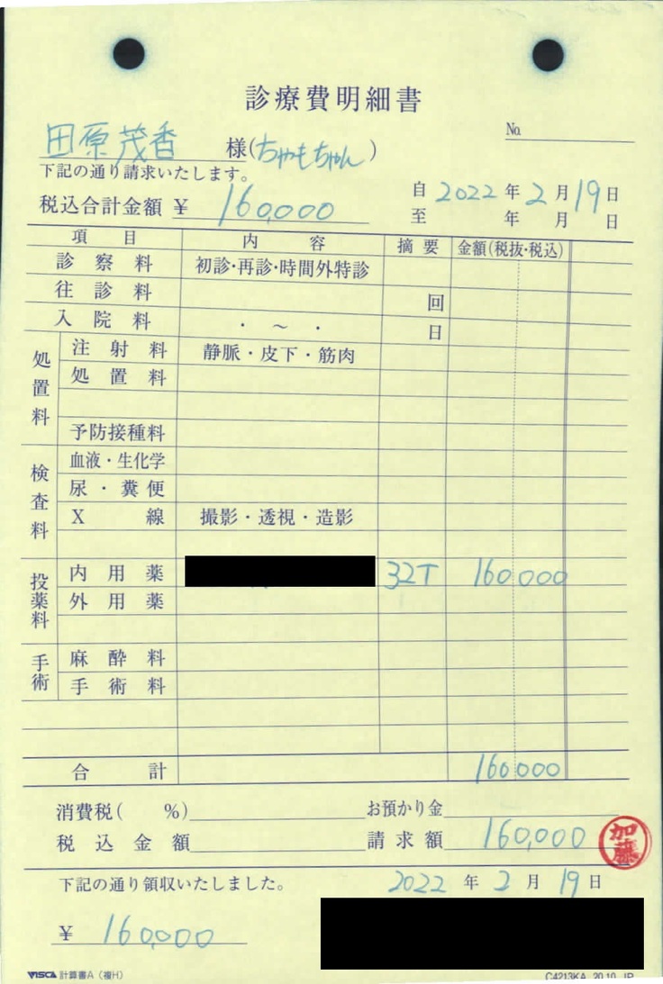 2/19治療費明細
