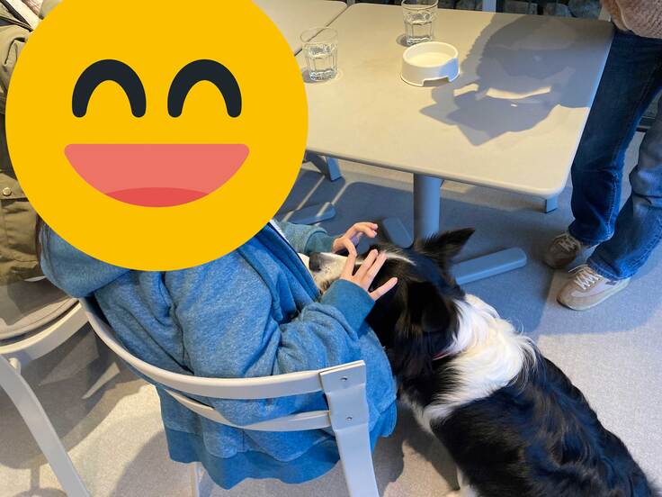 ドッグセラピーでわんちゃんと遊ぶ生徒