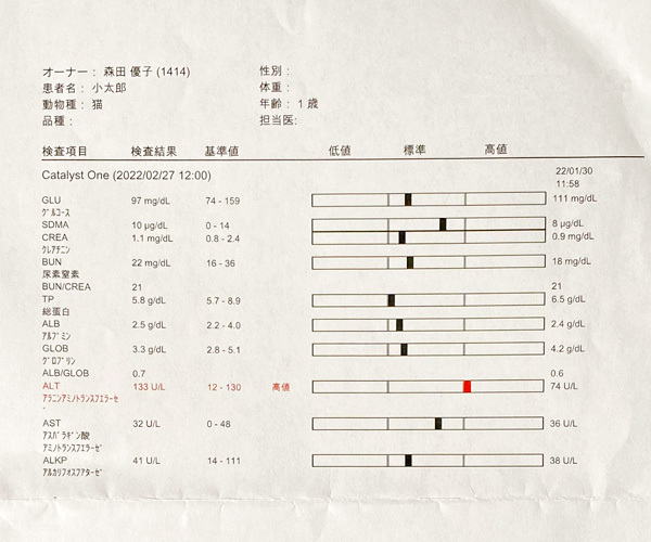 2月27日の血液検査結果