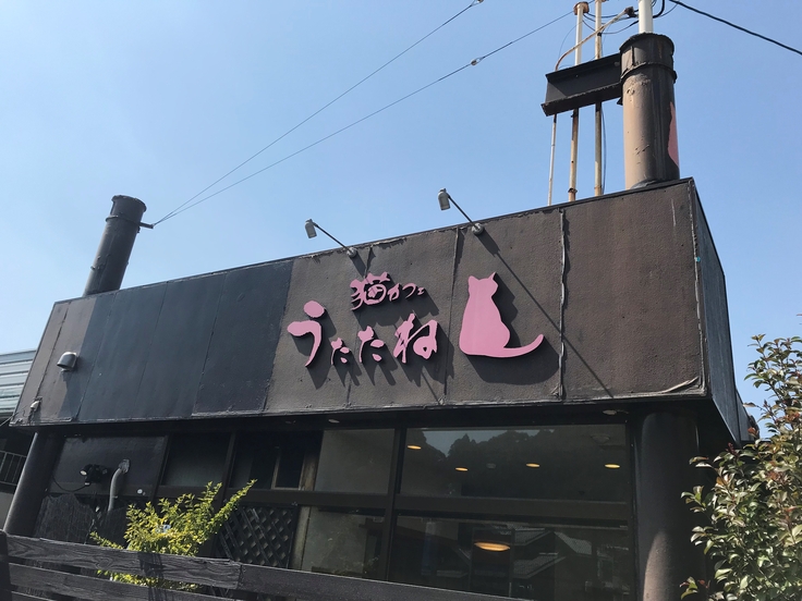 外壁と看板は新しく交換して塗装します