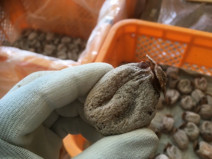 一つひとつ手もみで仕上げていきます