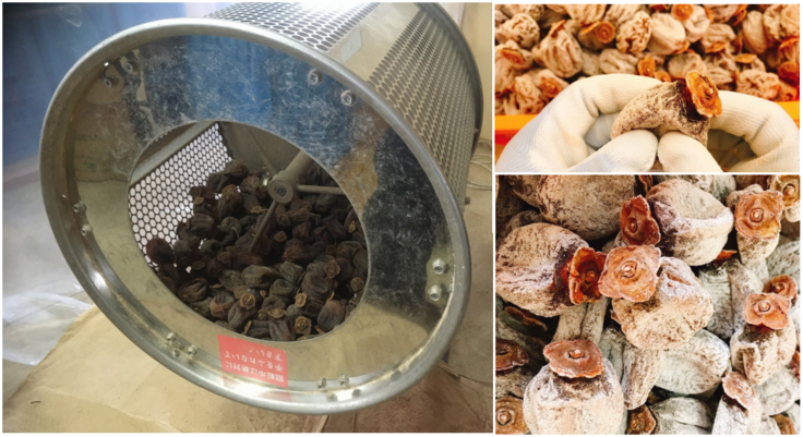 市販の回転式柿もみ機