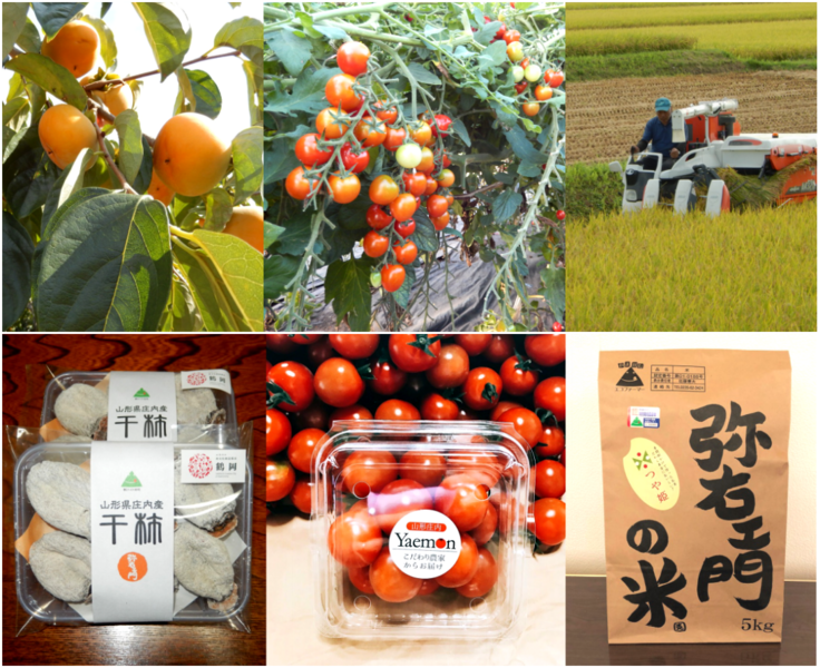 お米、トマト、庄内柿