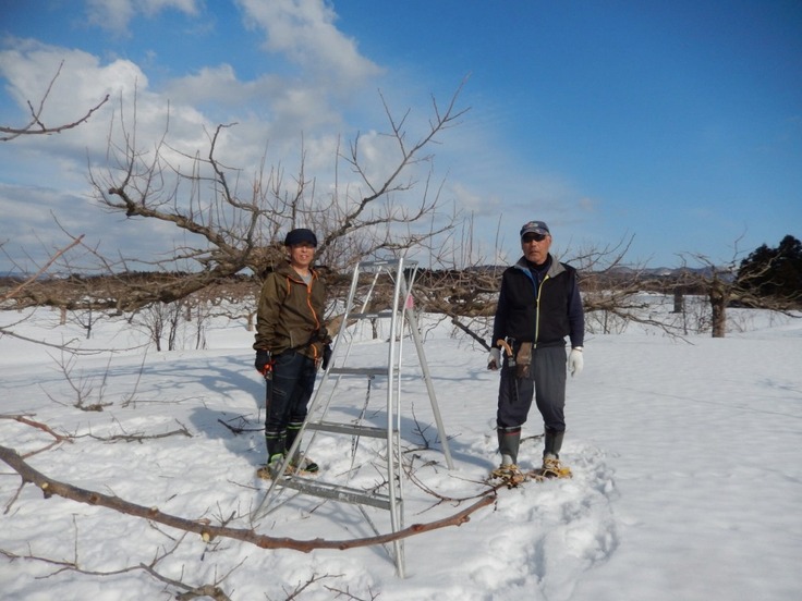 残雪の中、春のせん定