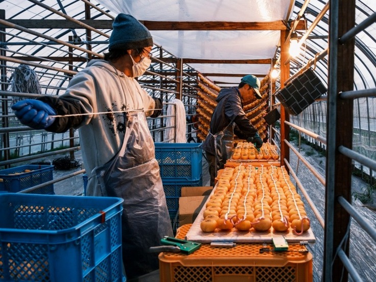 1本のヒモに20個ほど留めていきます