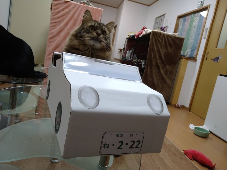 ねこみみカー のご紹介 広島県福山市の名産品で 保護猫カフェをご支援ください 保護ねこcafe Familia 内海 22 03 16 投稿 クラウドファンディング Readyfor