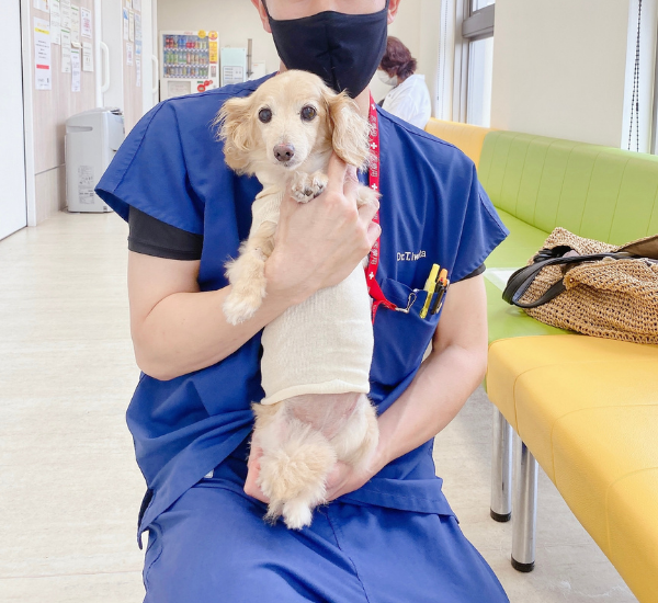 肝細胞腫瘍手術