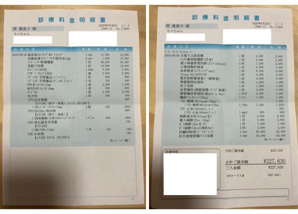 肝細胞腫瘍 手術