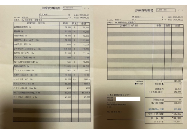 肝細胞腫瘍の手術