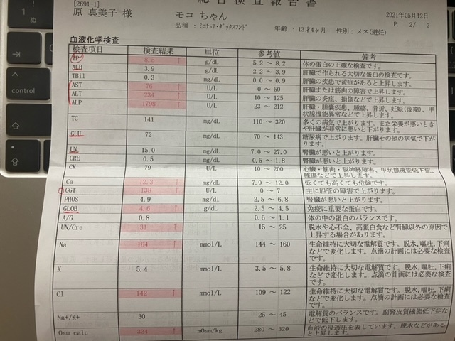 肝細胞腫瘍手術
