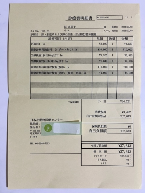 犬の肝細胞腫瘍 手術
