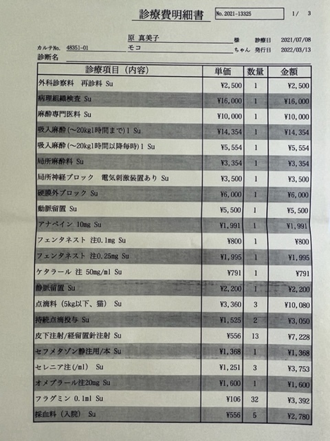 肝細胞腫瘍 手術