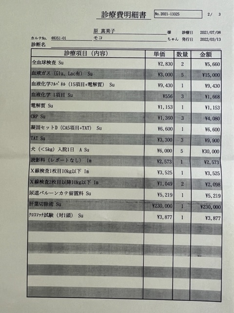 肝細胞腫瘍手術