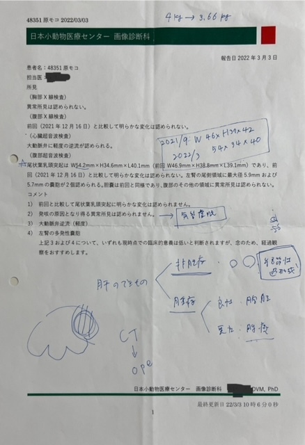 肝細胞腫瘍手術