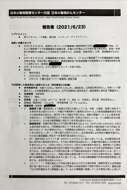 肝細胞腫瘍手術