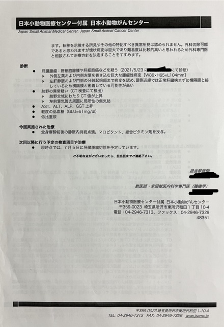 肝細胞腫瘍手術