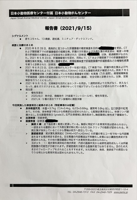 肝細胞腫瘍手術