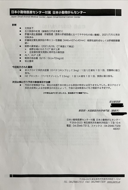 肝細胞腫瘍手術