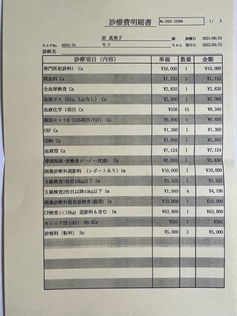 肝細胞腫瘍手術