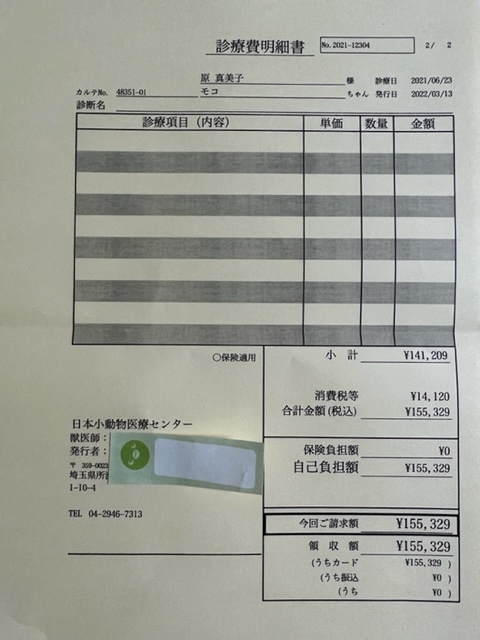 肝細胞腫瘍手術