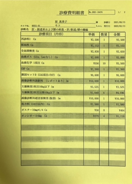 肝細胞腫瘍手術