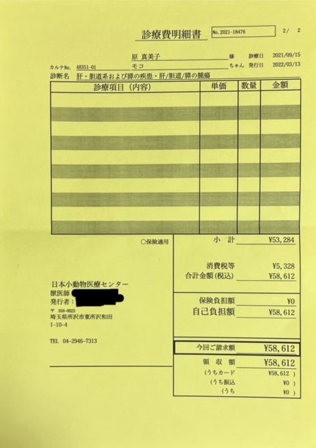 肝細胞腫瘍手術