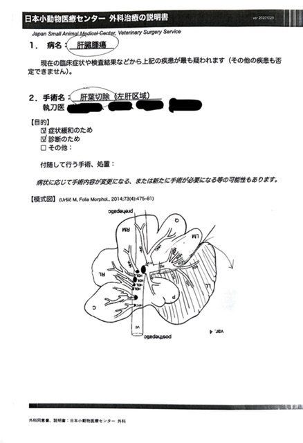 肝細胞腫瘍手術