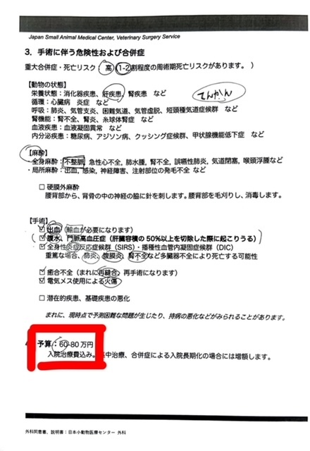 肝細胞腫瘍手術