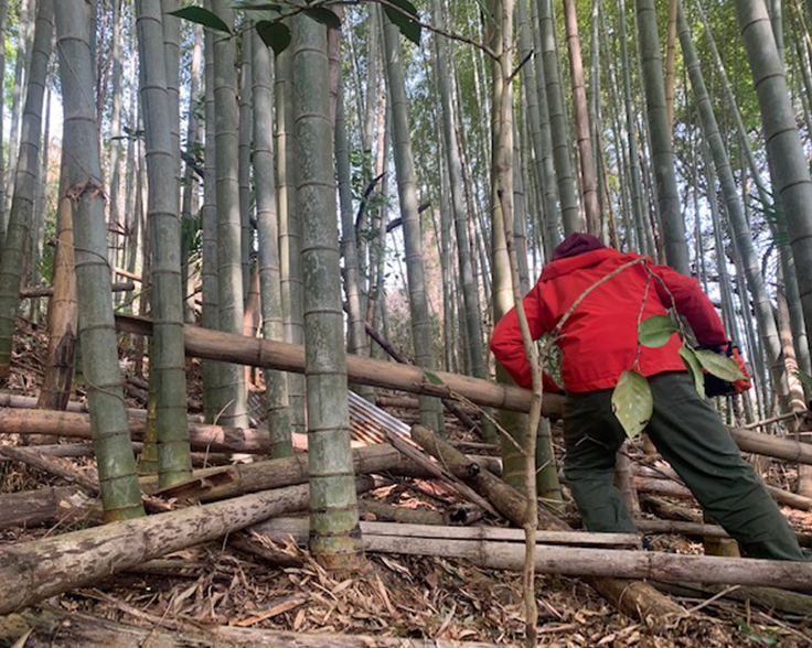 解体所の裏を整備中