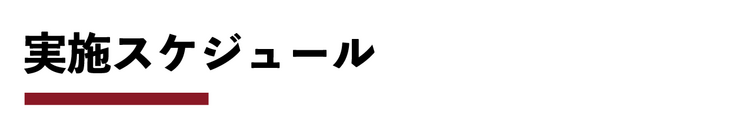 実施スケジュール