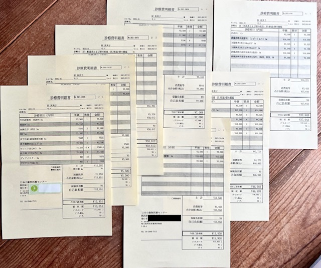 モコ クラウドファンディング