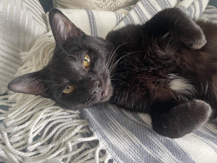 山田ヤマトです。