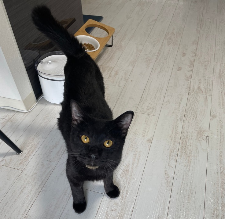 トライアル初日のヤマト